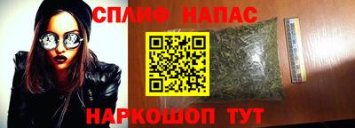 трава Новодвинск