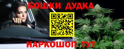 прущие крисы Новокубанск
