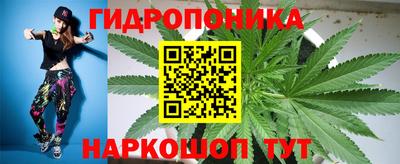 прущие крисы Новокубанск